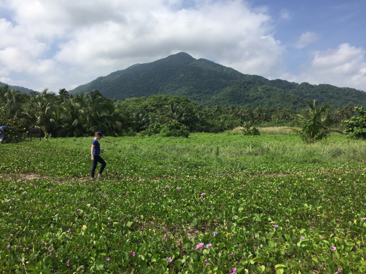 Tayrona National Park,&nbsp;Columbia